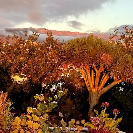 Appartamento Tenerife Sea View Sun 220 Playa Feñabe